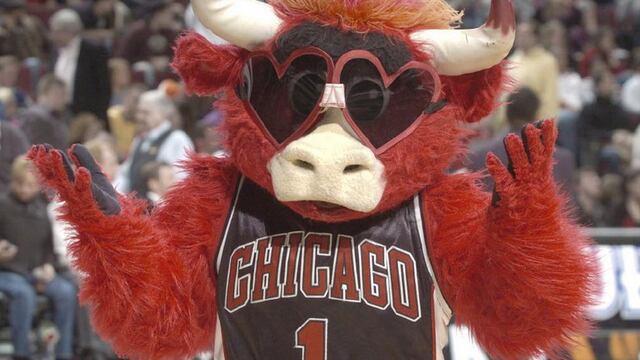 La mascota de los Chicago Bulls de la NBA, Benny the Bull, entró a robar a la novia de un aficionado de los Boston Celtics.