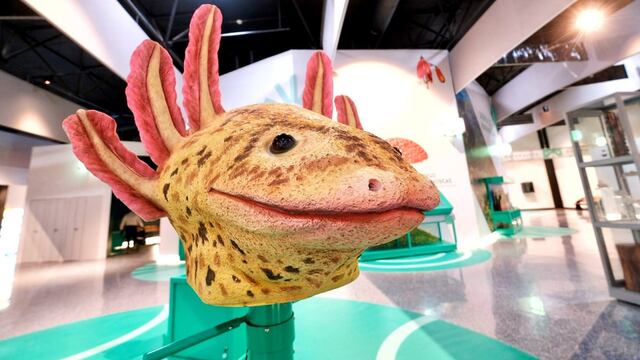 JAPI Jalisco paseo interactivo