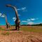 Científicos afirman que en 5 años serán capaces de recrear a los dinosaurios