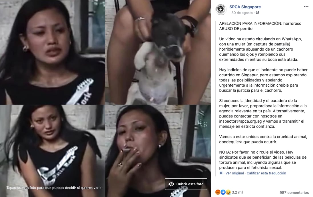 La SPCA compartió algunas imágenes del sádico video.