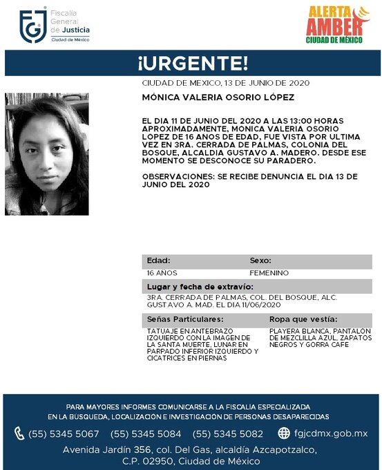 Ficha de búsqueda de Mónica.