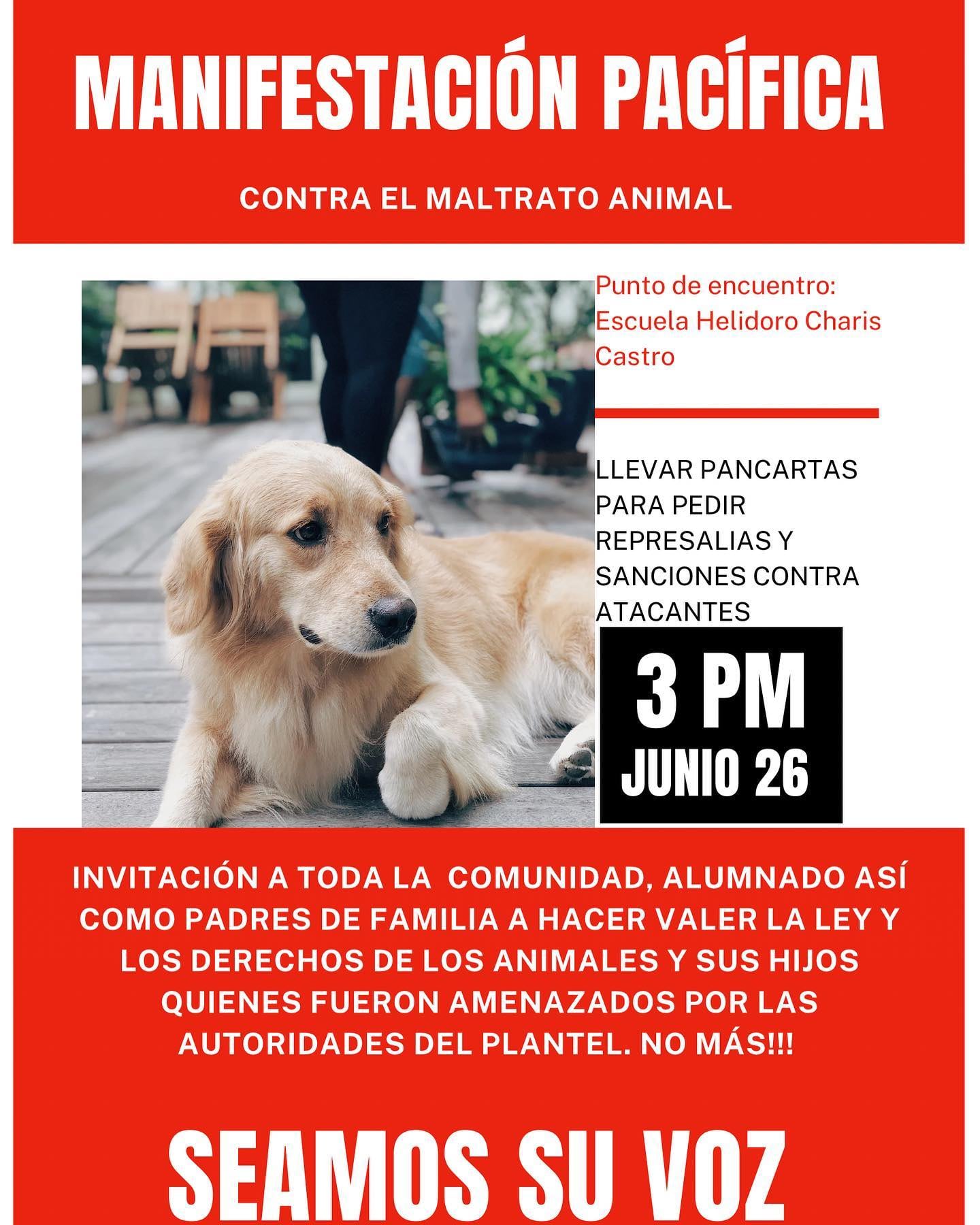 Convocan a manifestación por maltrato de perritos en secundaria Heliodoro Chari Castro de Juchitán