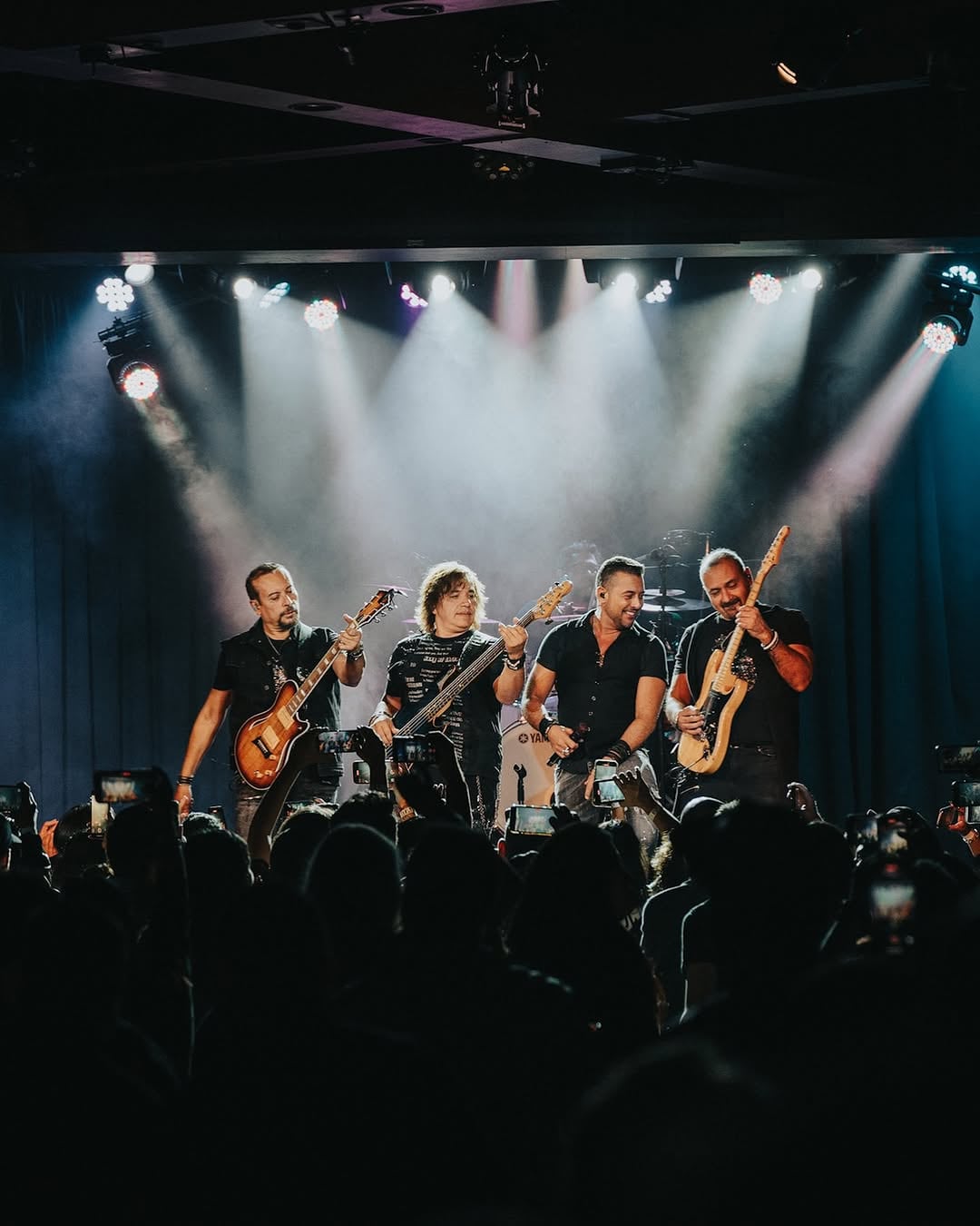 Elefante en concierto