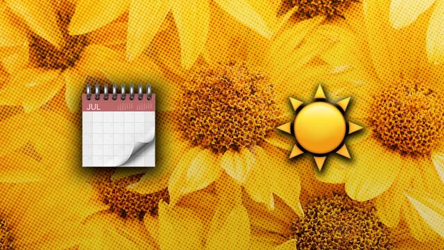 Este día se regalan flores amarillas en marzo