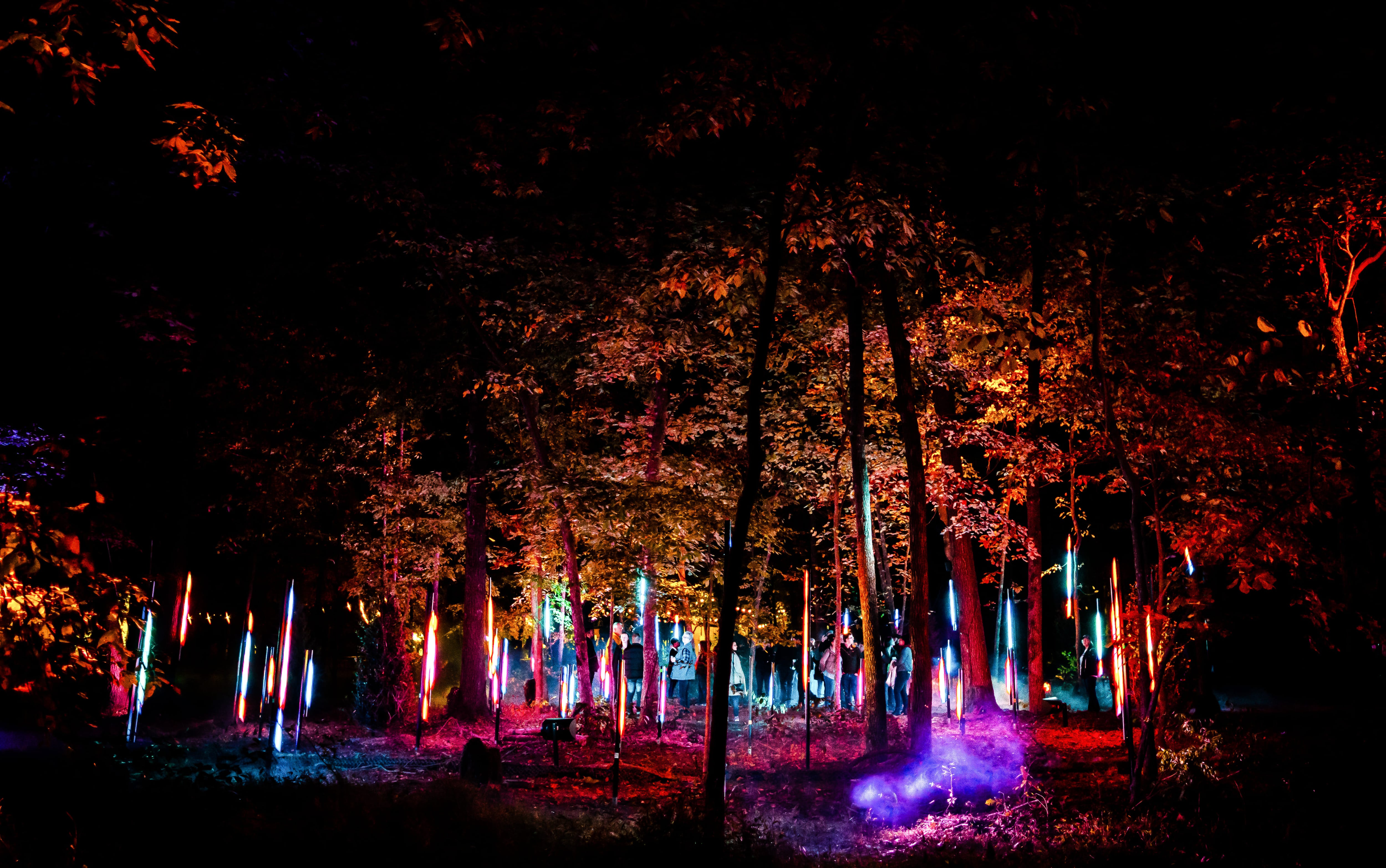 Light Cycles regresa a Chapultepec con un recorrido inmersivo de luces, sonido y naturaleza
