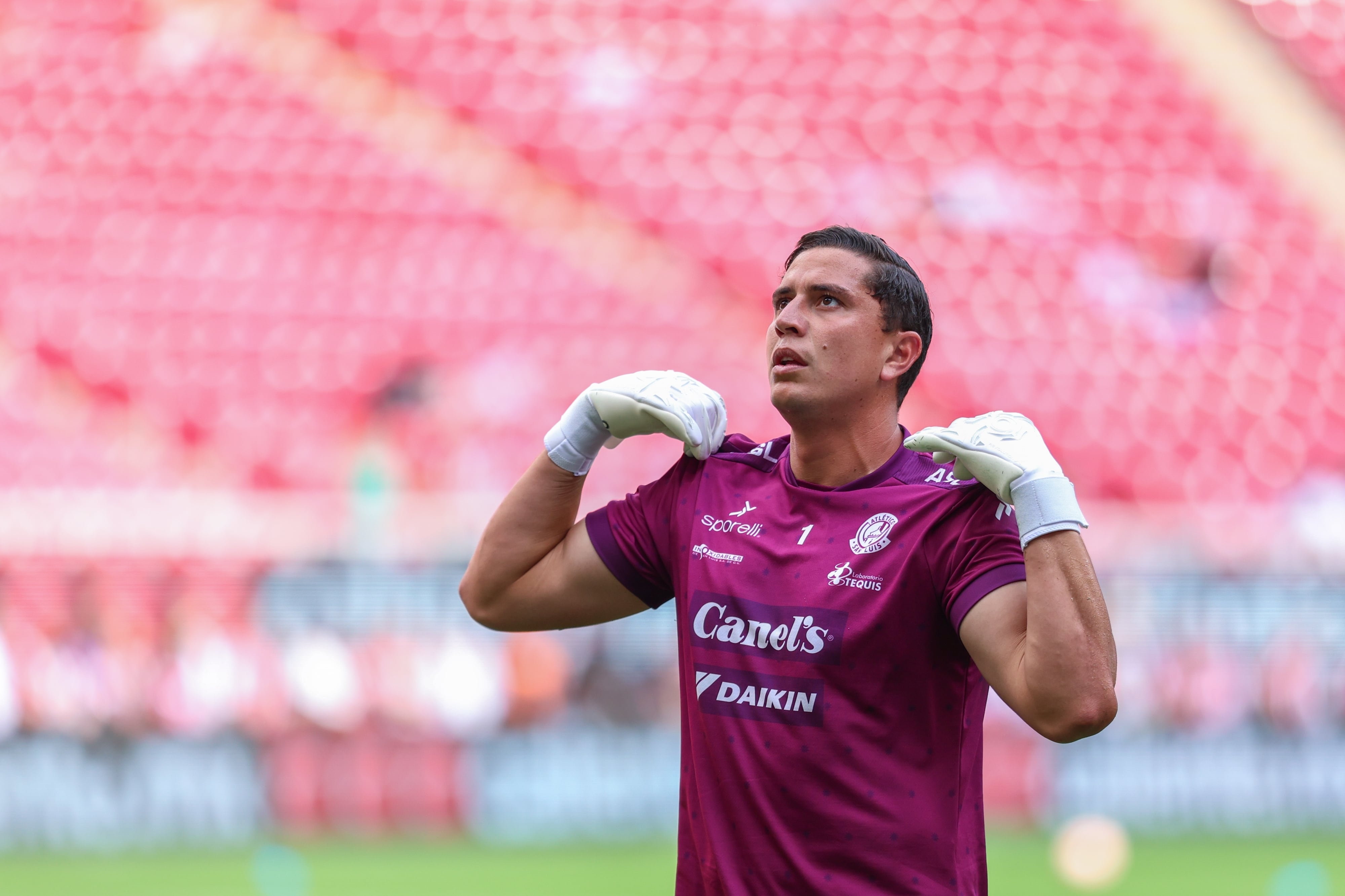 Andrés Sánchez