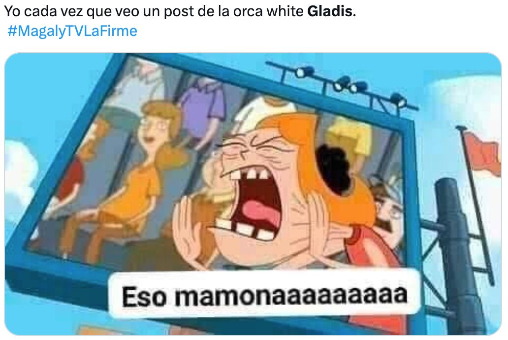 Memes de Gladis, la orca asesina