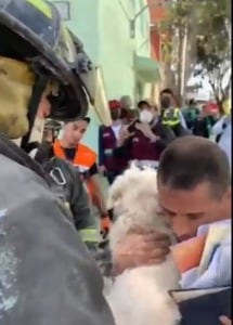 Rescate de perrito tras explosión en la Pensil