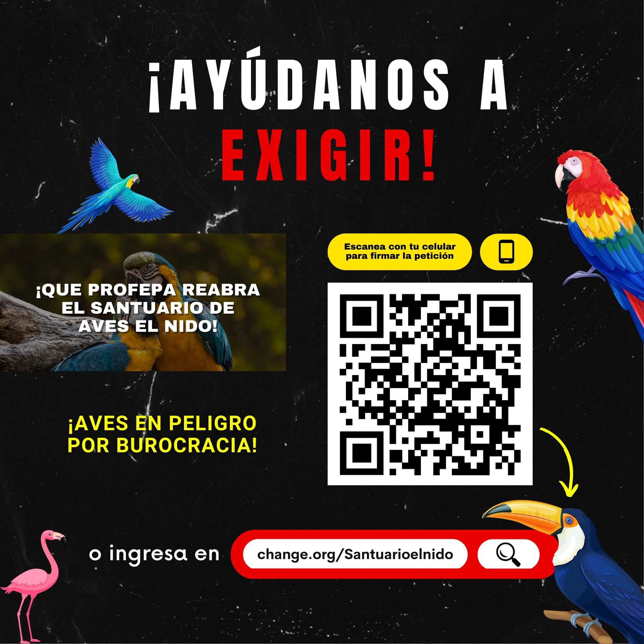 El Nido crea firma de 'change.org' para que lo reabran.