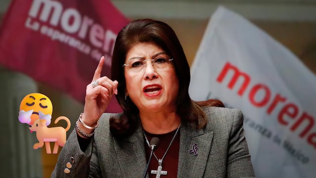 Mariela Gutiérrez admite que ordenó sacrificar miles de perros en Tecámac