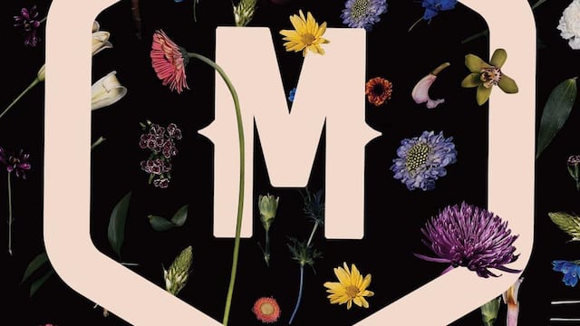 Esta es la canción de Morat que inspira a reglar flores el 29 de febrero