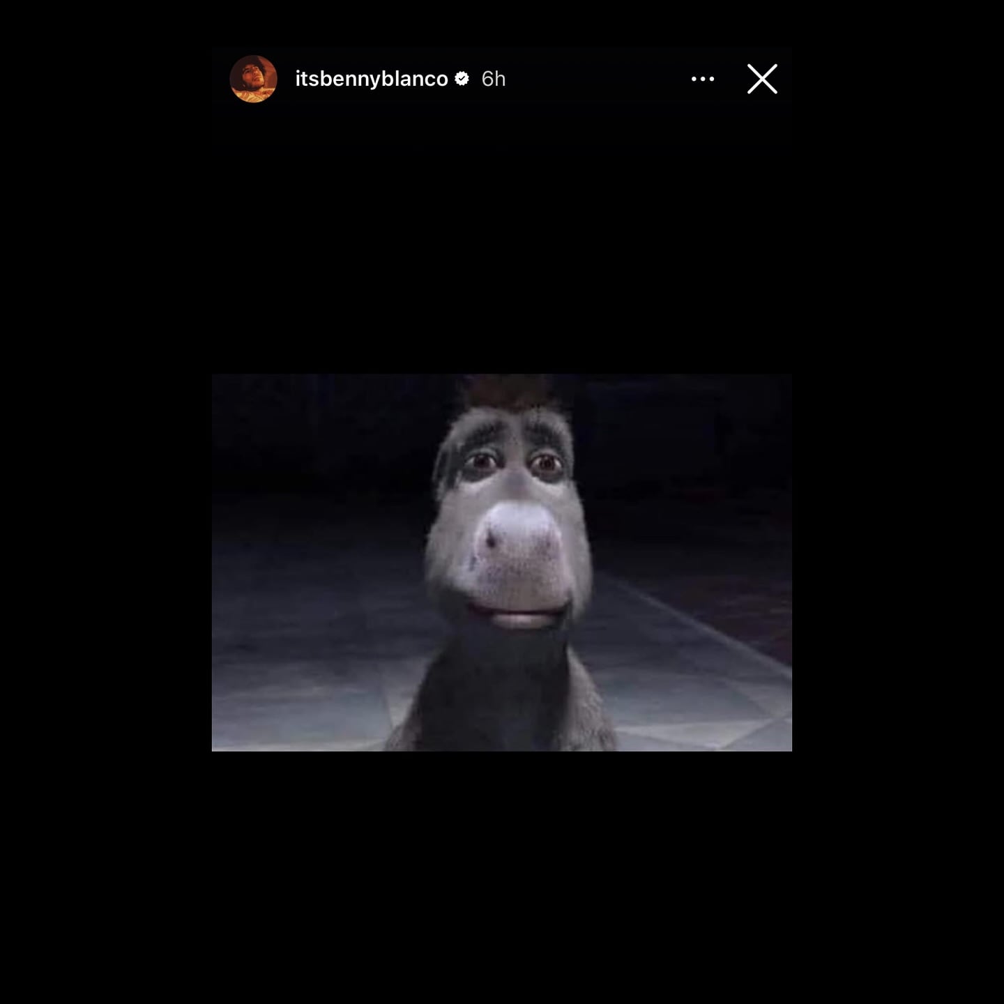 Selena Gomez, Justin Bieber meme