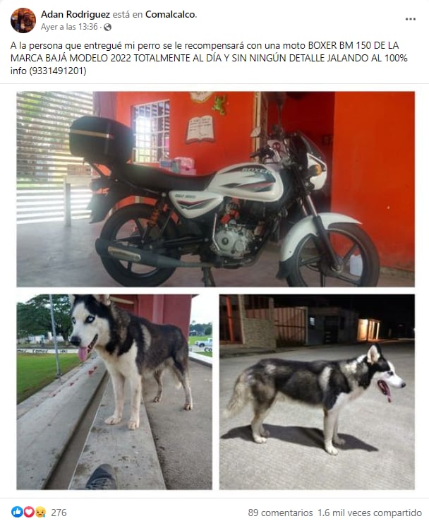 Ofrece su moto a quien le devuelva a su perro