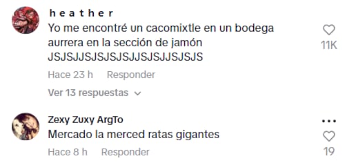 Rata de tamaño grande del Costco de Puebla