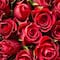 ¿Qué significa regalar rosas rojas en San Valentín? La flor más común del 14 de febrero
