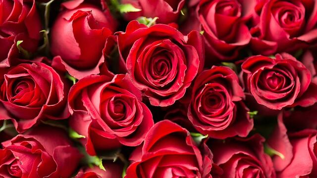 4 objetos que nunca debes regalar en Navidad