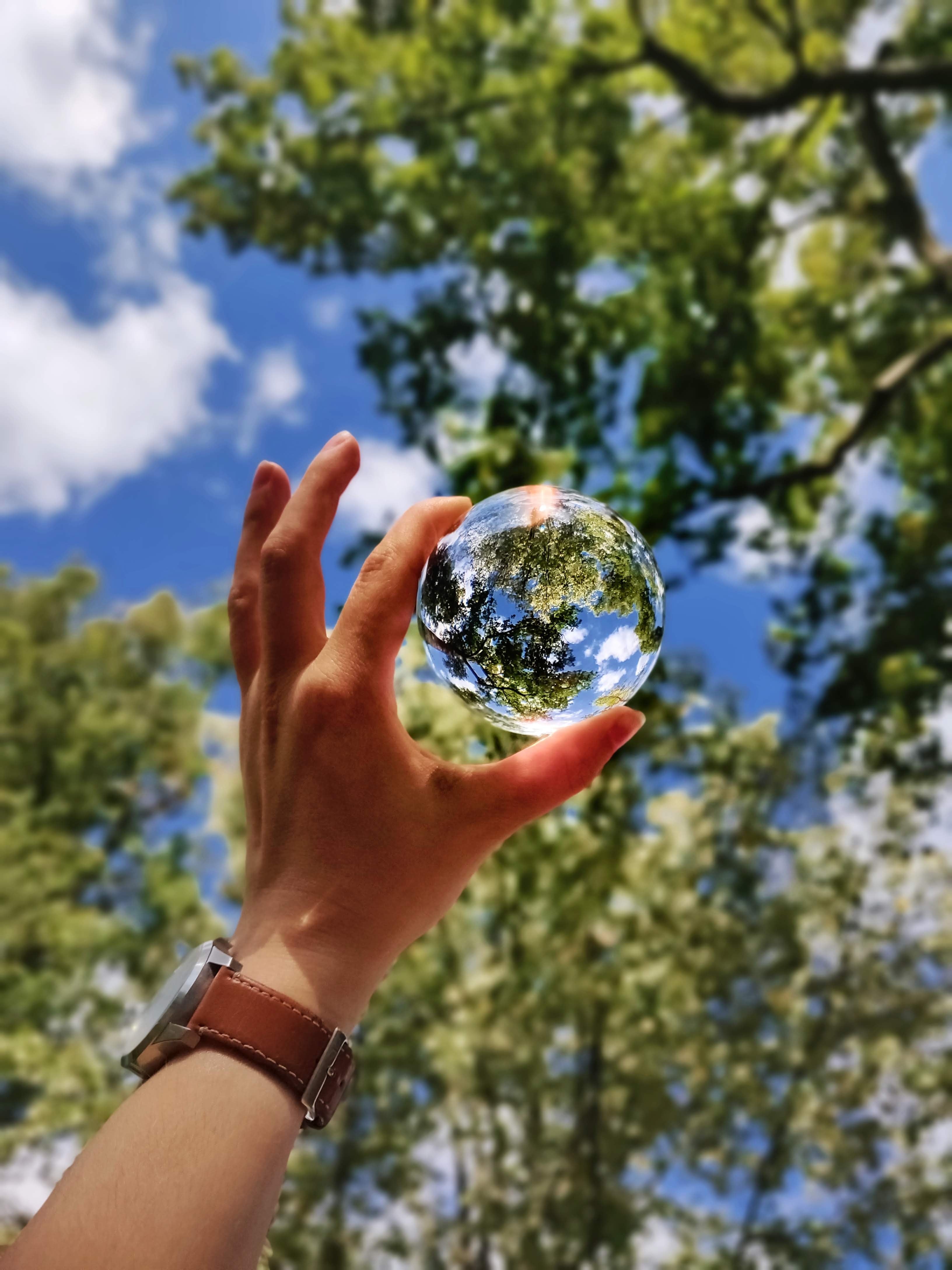 Este 2 de agosto se celebra el Día de la Sobrecapacidad de la Tierra