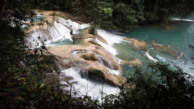 Cascadas de Agua Azul. Foto: Especial