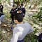 Fosas clandestinas en Chiapas: Suman 31 cuerpos hallados en búsqueda