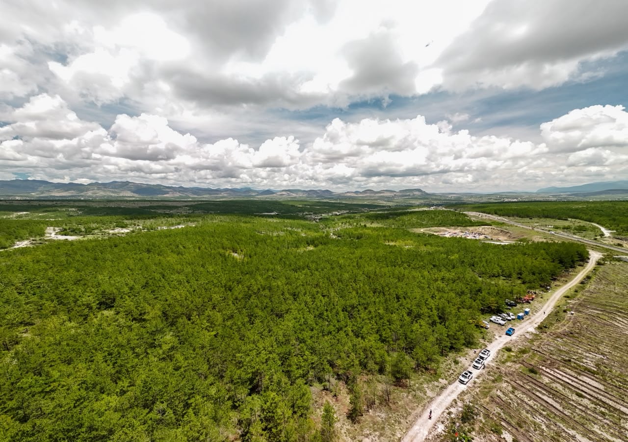 Salomón Jara y Alicia Bárcena reafirmaron acciones de reforestación y restauración forestal en Oaxaca.
