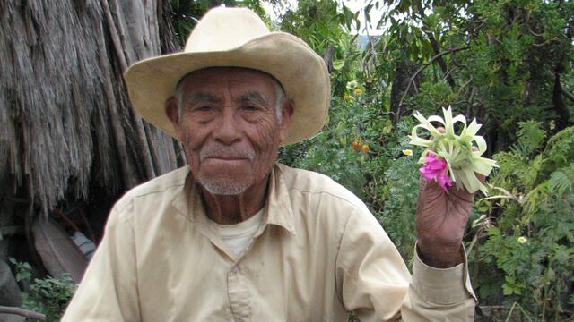 Pedro Salazar Gutiérrez