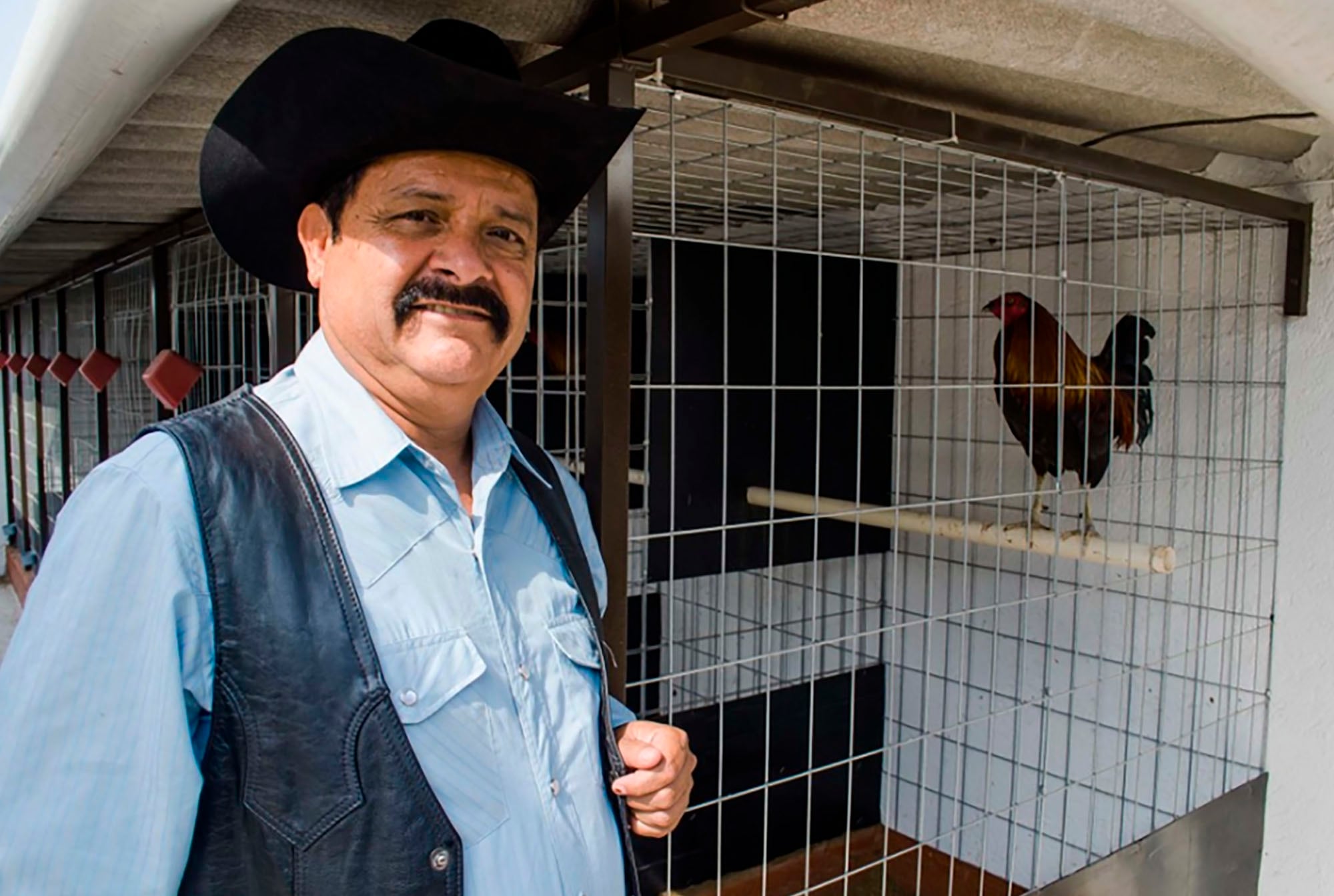 Teodoro Bello, compositor de "el jefe de jefes", de Los Tigres del Norte