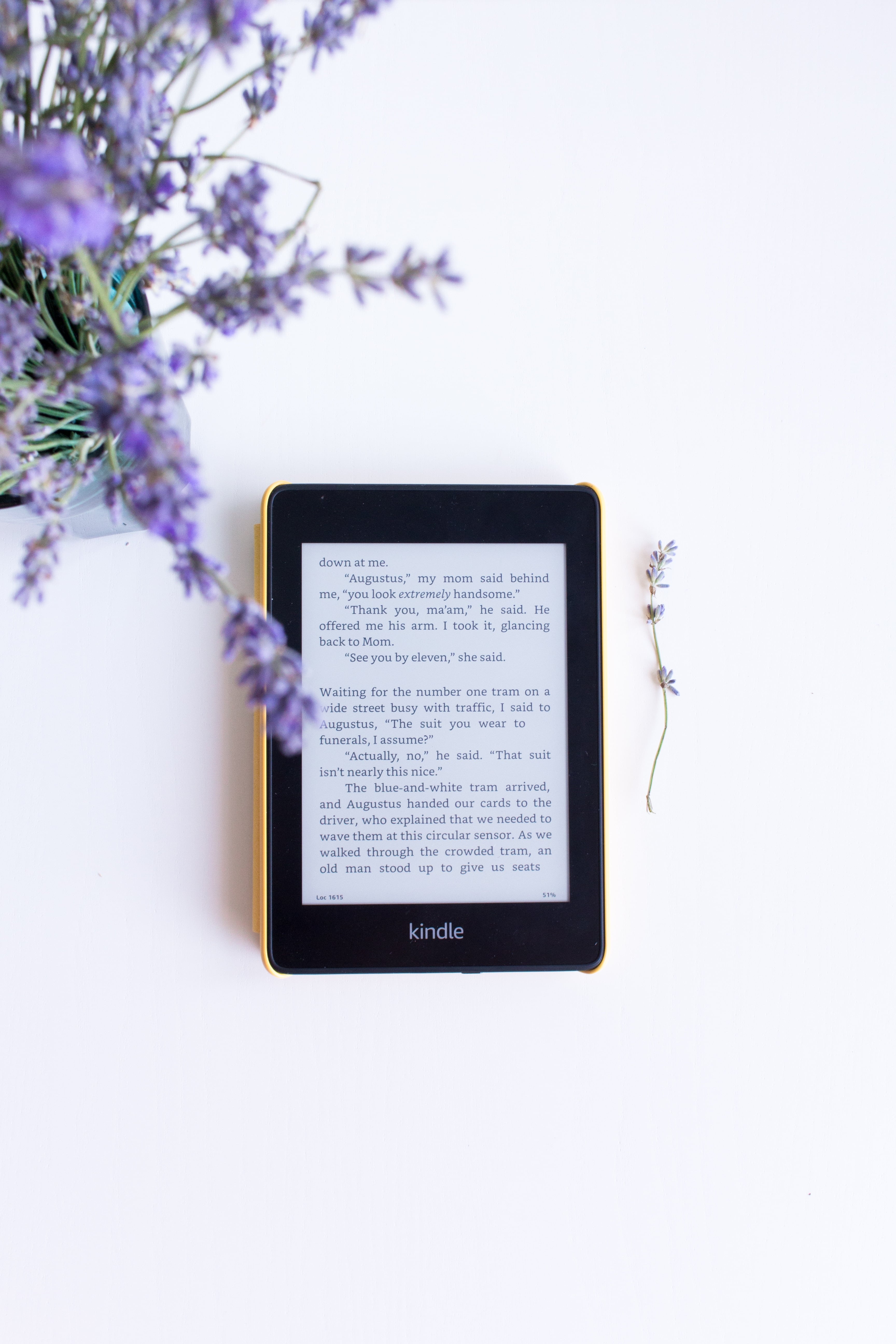 Stuff Your Kindle Day 2023 México se acerca en este mes de septiembre
