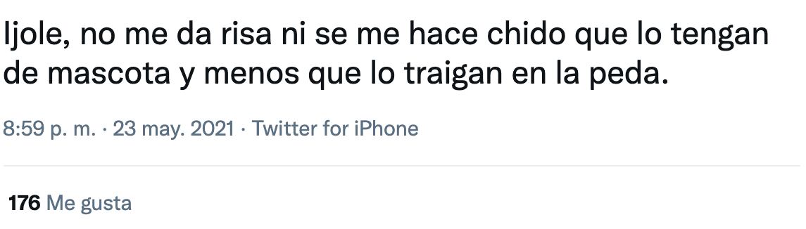 Usuarios responden a foto del mapache