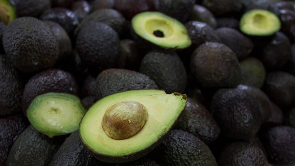 Aguacate