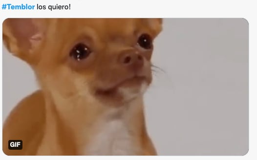 Memes por sismo en CDMX