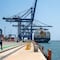 Hutchison Ports ICAVE invierte 62 mdp para modernizar operaciones en Veracruz