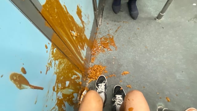 mole en el metro CDMX