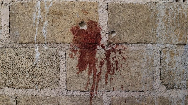Fotografías de la escena donde se concretó la ejecución extrajudicial en Tlatlaya