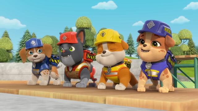 Rubble y Equipo de Paw Patrol por Día Internacional de las Familias