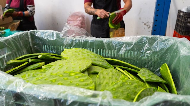 Corporativo Kosmos impulsa oferta vegetal en servicios de alimentación