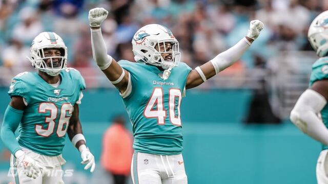 Los Delfines durante un partido