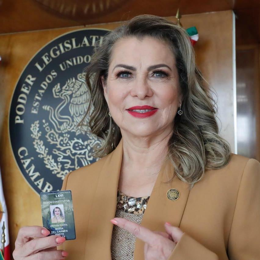 ¿Quién era María del Carmen Pinete Vargas? Murió la diputada del Partido Verde