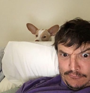 Pedro Pascal, actor