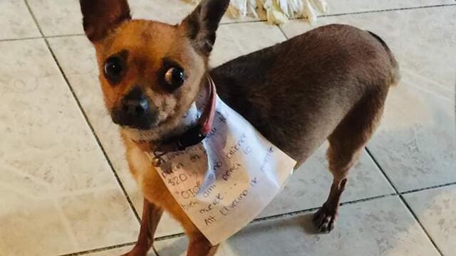 La super heroína de la pandemia