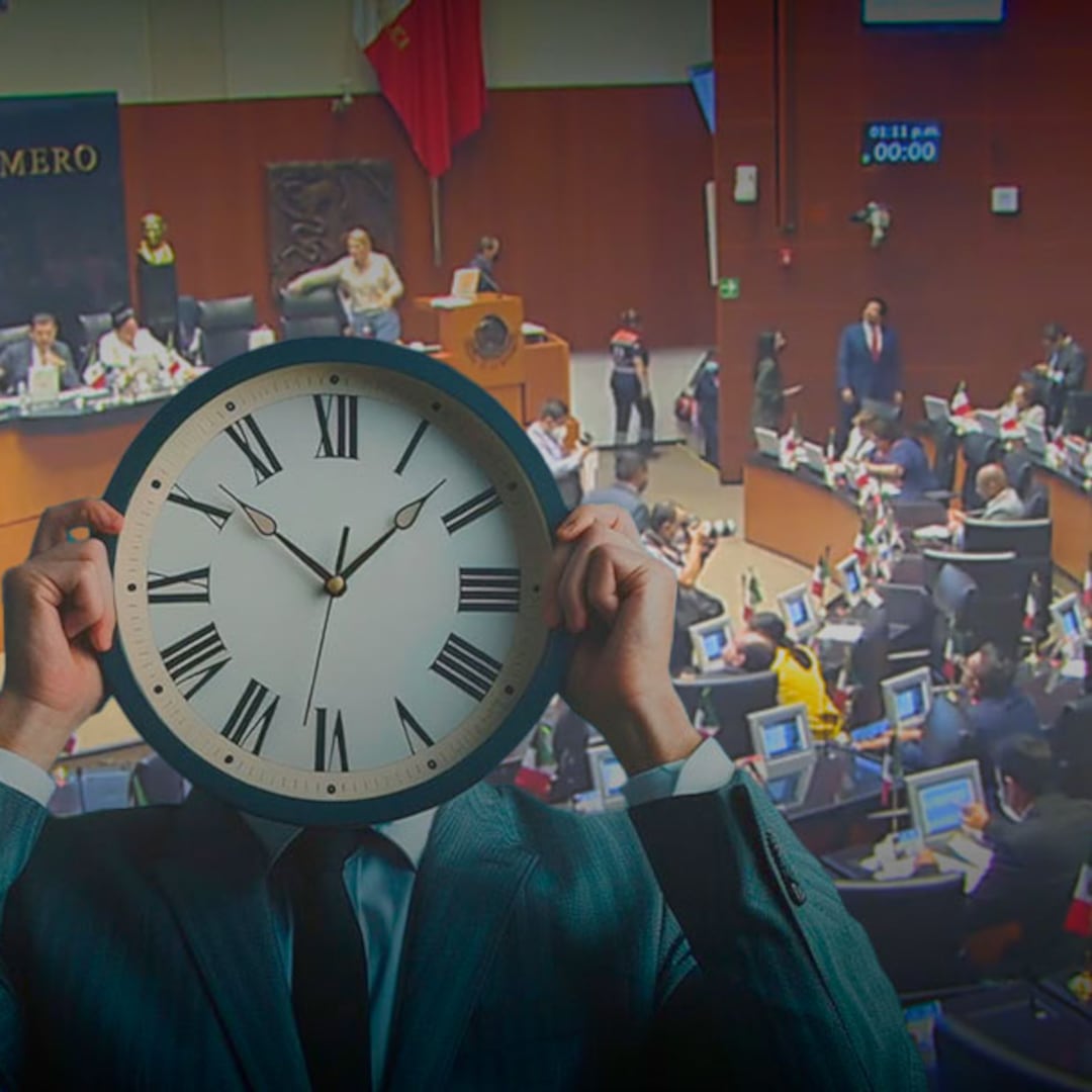 Gato por liebre (versión 40 horas)