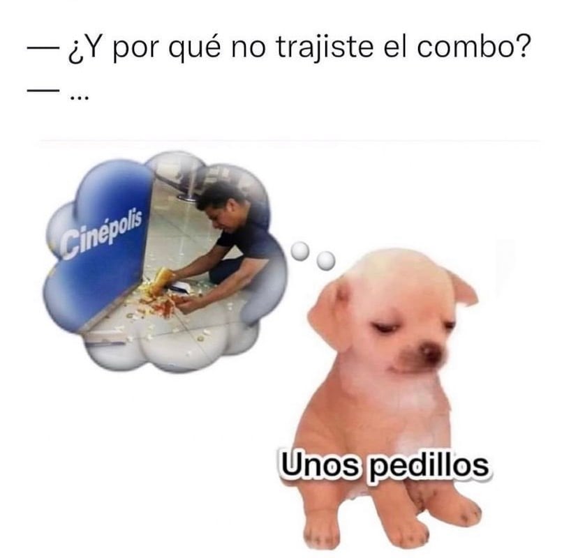 ’Kesi Kesi’ se llama el perrito del meme “unos pedillos”