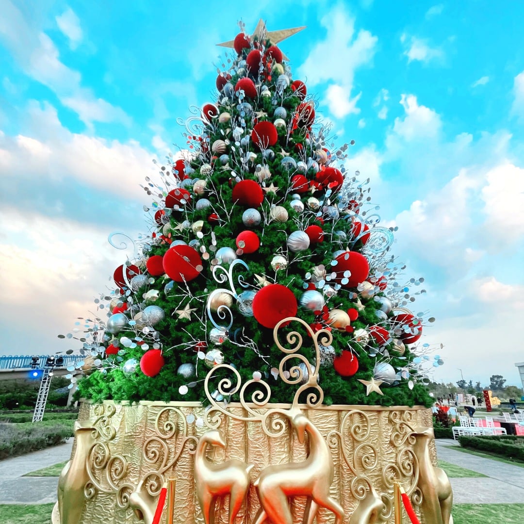 Festival Ilusiones de Navidad, Xochimilco