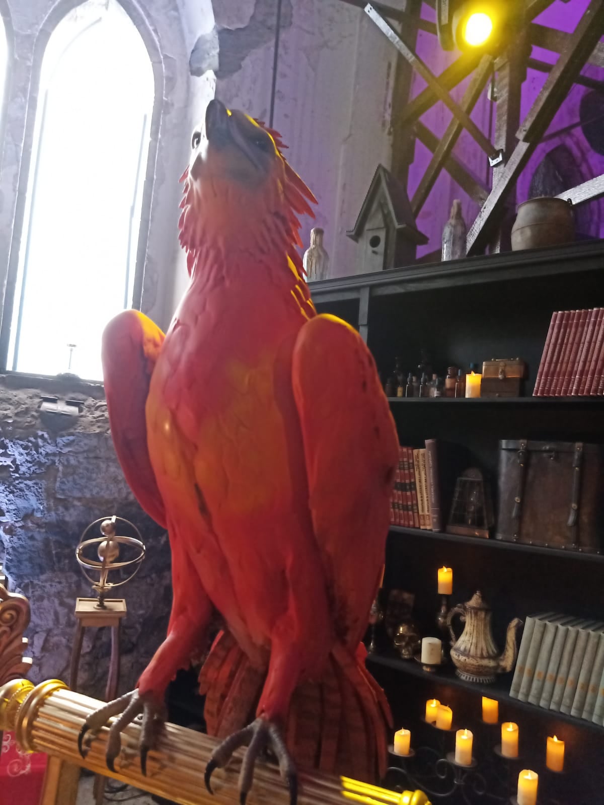 Experiencia Animales Fantásticos: Los Secretos de Dumbledore