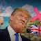Trump podría retirar apoyo a Reino Unido sobre las Islas Malvinas