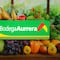 Bodega Aurrera tianguis de frutas y verduras hoy al 14 de noviembre 2024: Las mejores ofertas