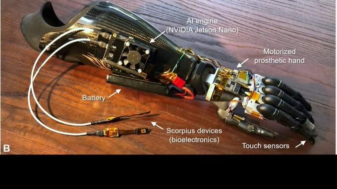 Desarrollan 'mano robótica' que funciona con el sistema nervioso