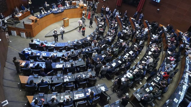 Cámara de Senadores vs. acuerdo del INE sobre elecciones Poder Judicial
