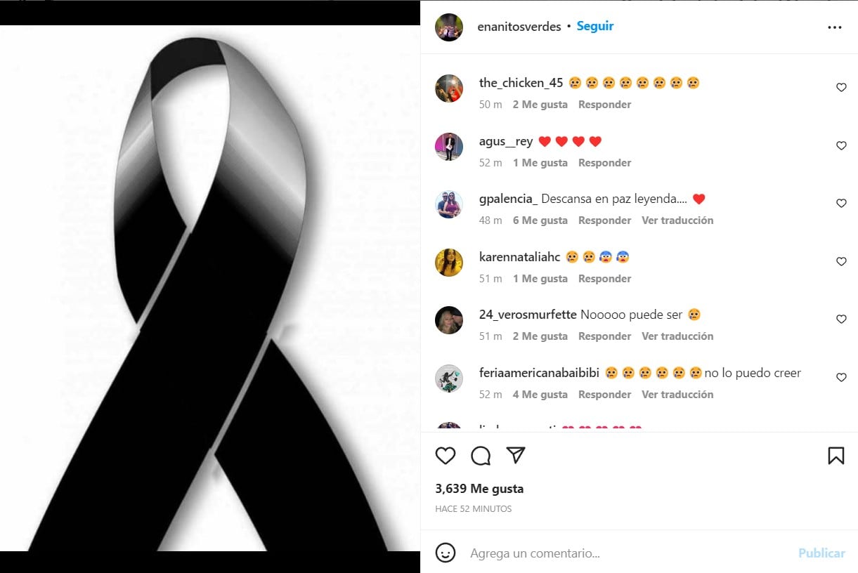 Post de Enanitos Verdes en Instagram