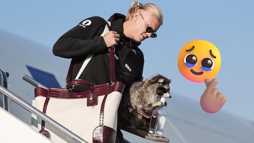 Haaland sorprende al volver a Noruega con un mapache