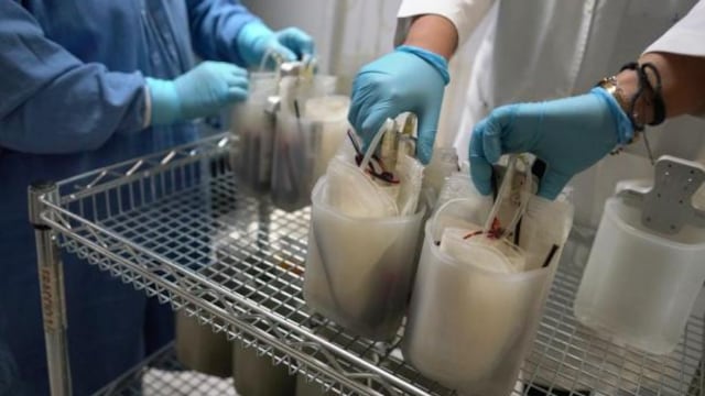 Plasma convaleciente